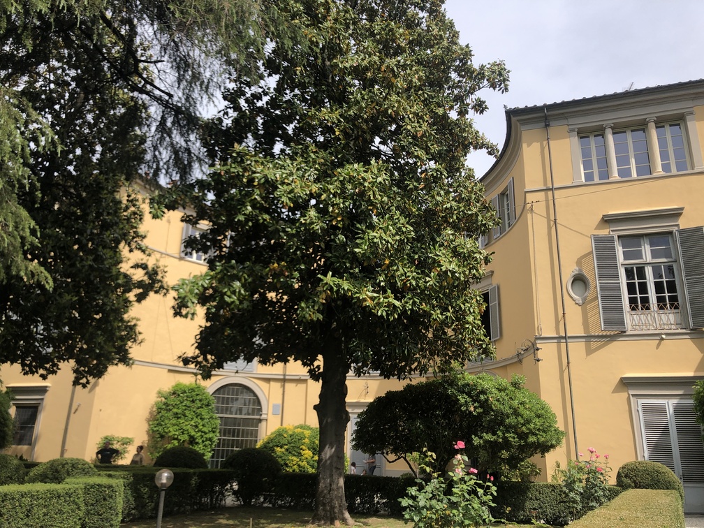 Giardino Elisa.