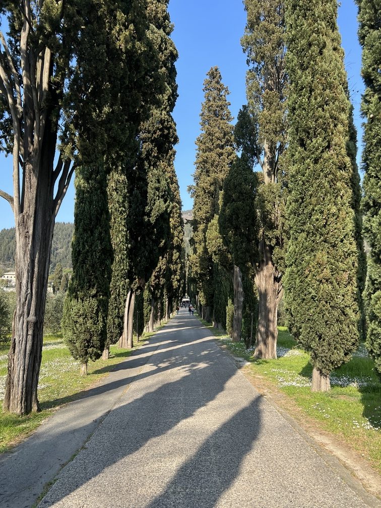 Villa Aldobrandini Banchieri Rospigliosi - viale.