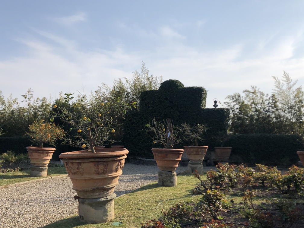 Villa Aldobrandini Banchieri Rospigliosi - giardino all'italiana.