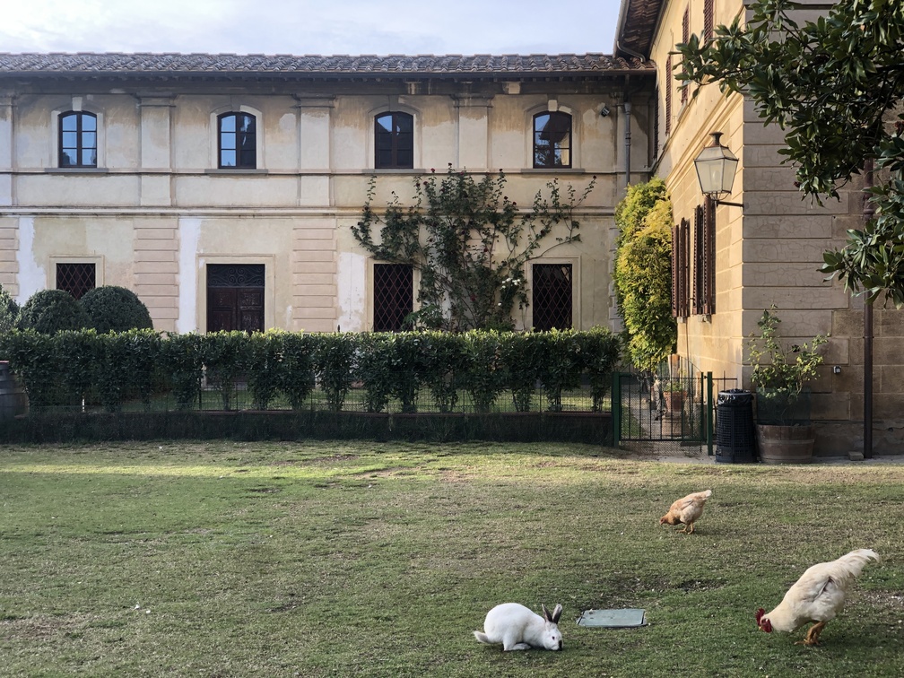 Badia di Passignano - giardino all'italiana.