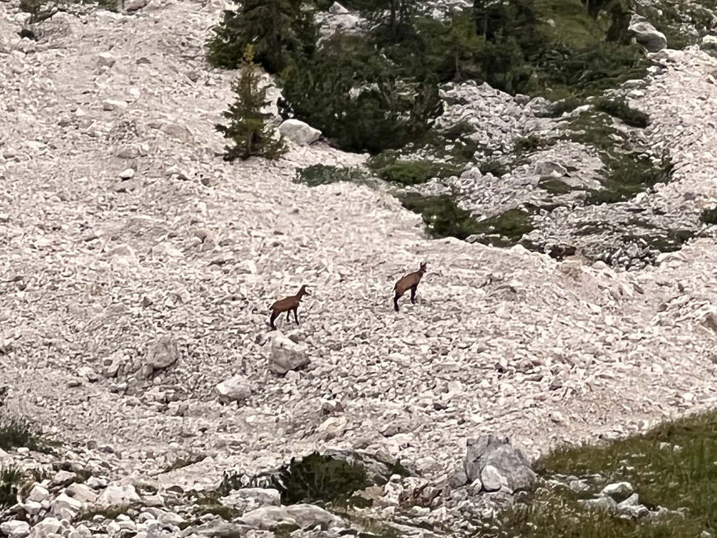 Tramonto al Rifugio Fronza alle Coronelle - camosci.