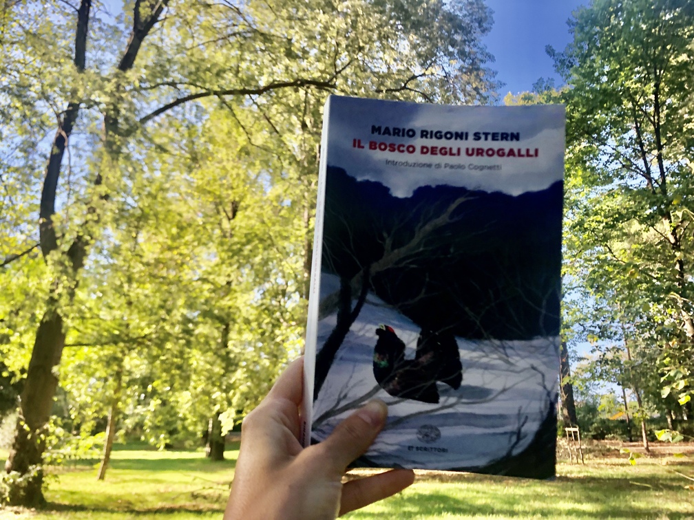Mario Rigoni Stern, Il bosco degli urogalli.