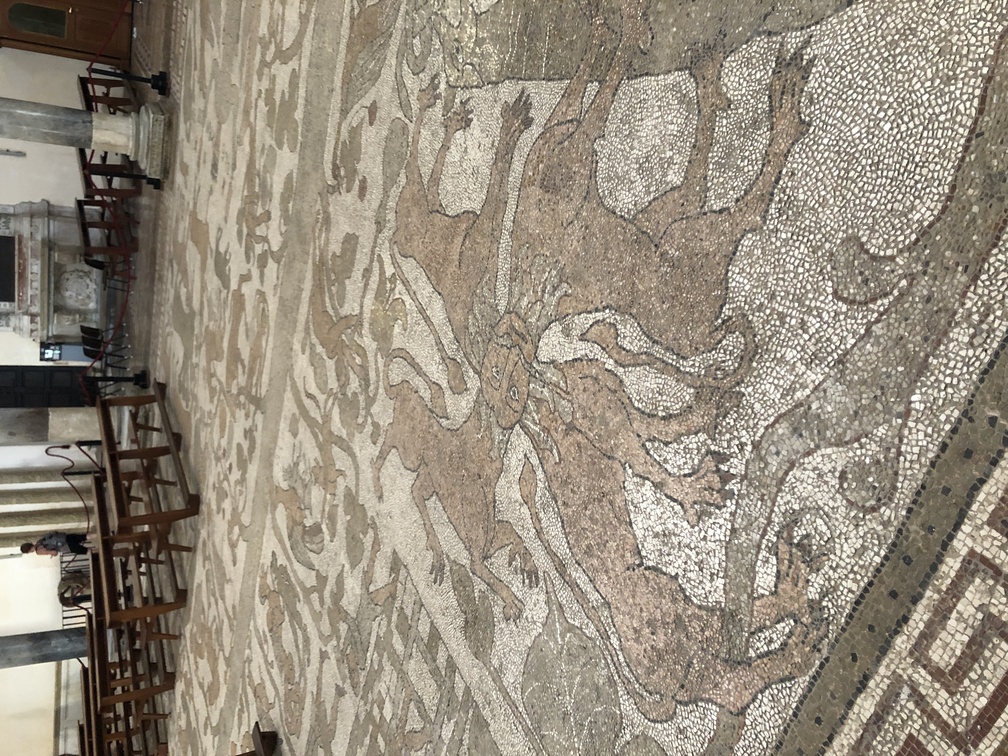 Cattedrale di Otranto - mosaico.