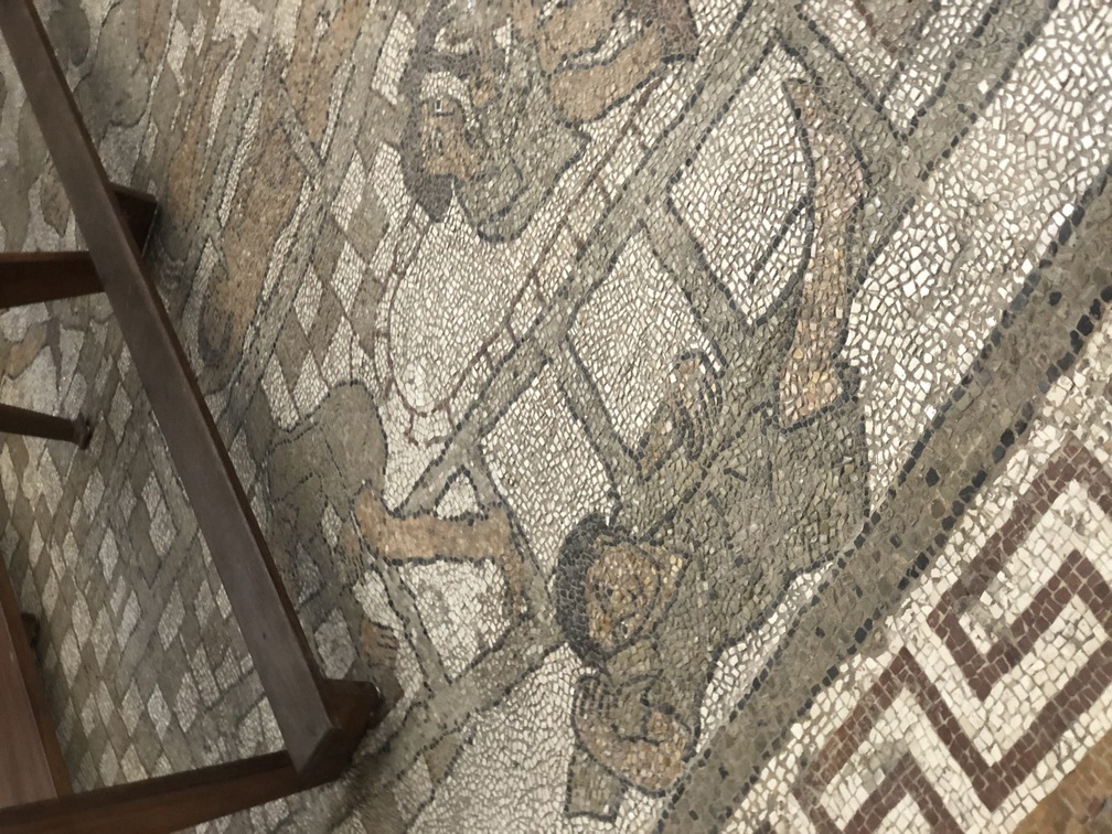 Cattedrale di Otranto - mosaico.