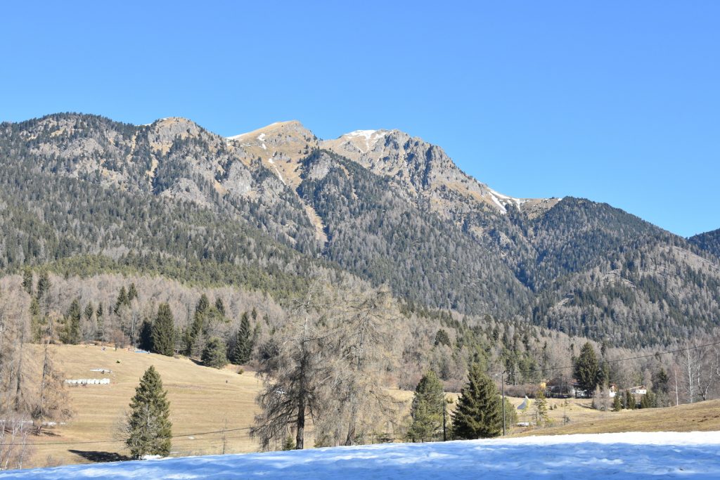 Il Bosco Nascosto di Daiano - panorama.