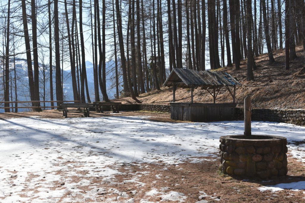 Il Bosco Nascosto di Daiano - località Balera.
