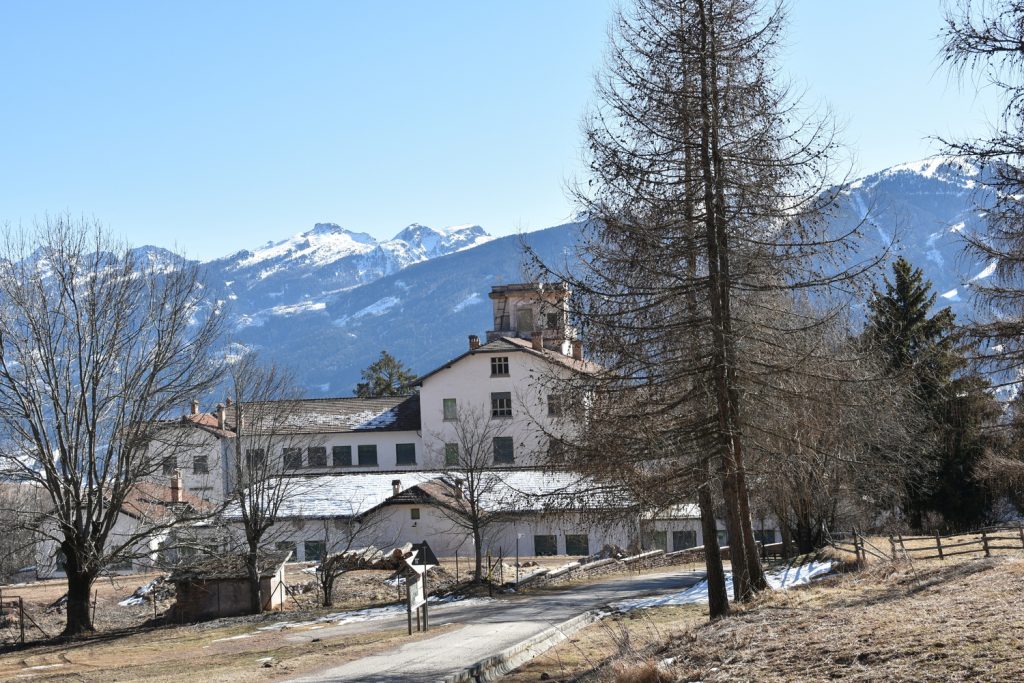 Il Bosco Nascosto di Daiano - Colonia Pavese.