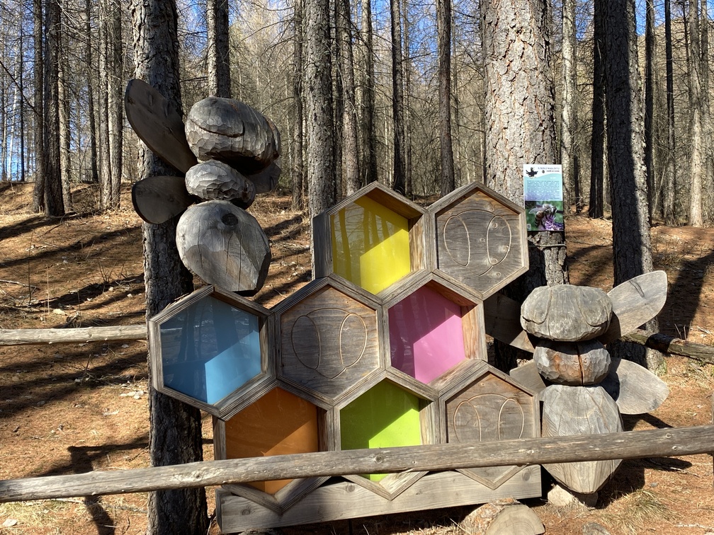 Il Bosco Nascosto di Daiano - installazione dell'alveare.