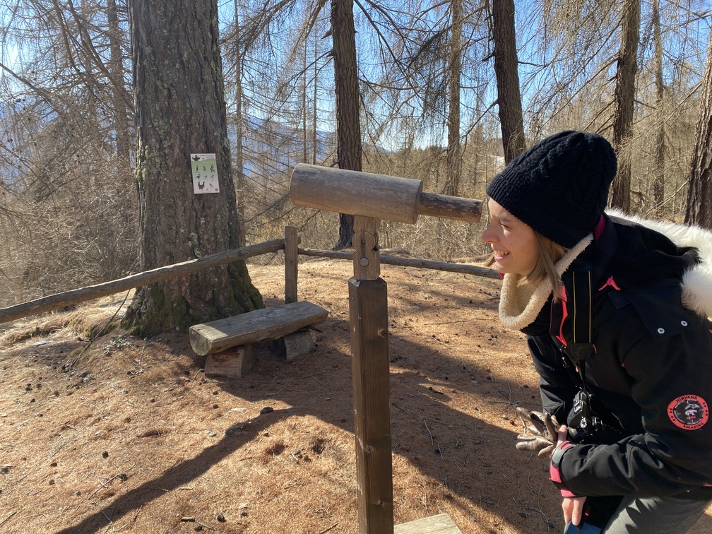 Il Bosco Nascosto di Daiano - installazione del cannocchiale.