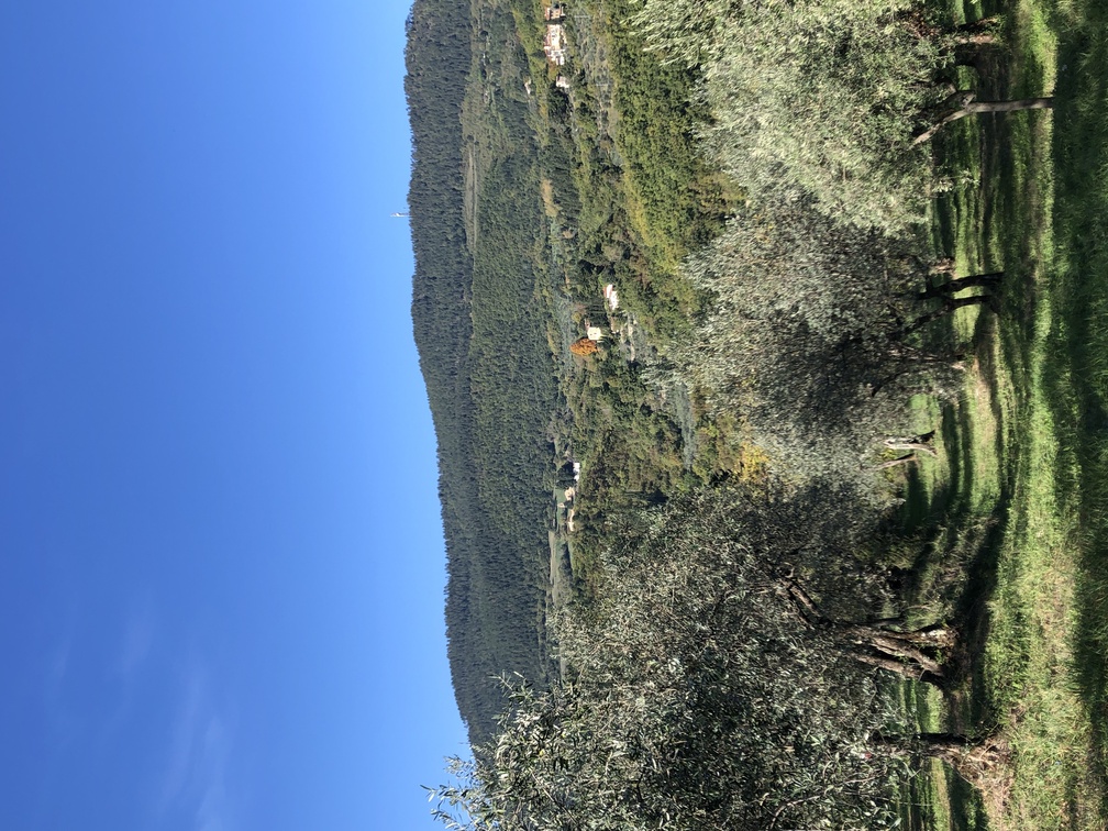 Trekking a Cercina - panorama.