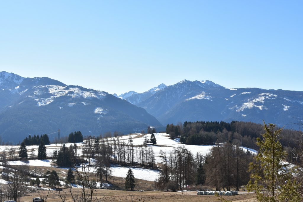 Il Bosco Nascosto di Daiano - panorama.