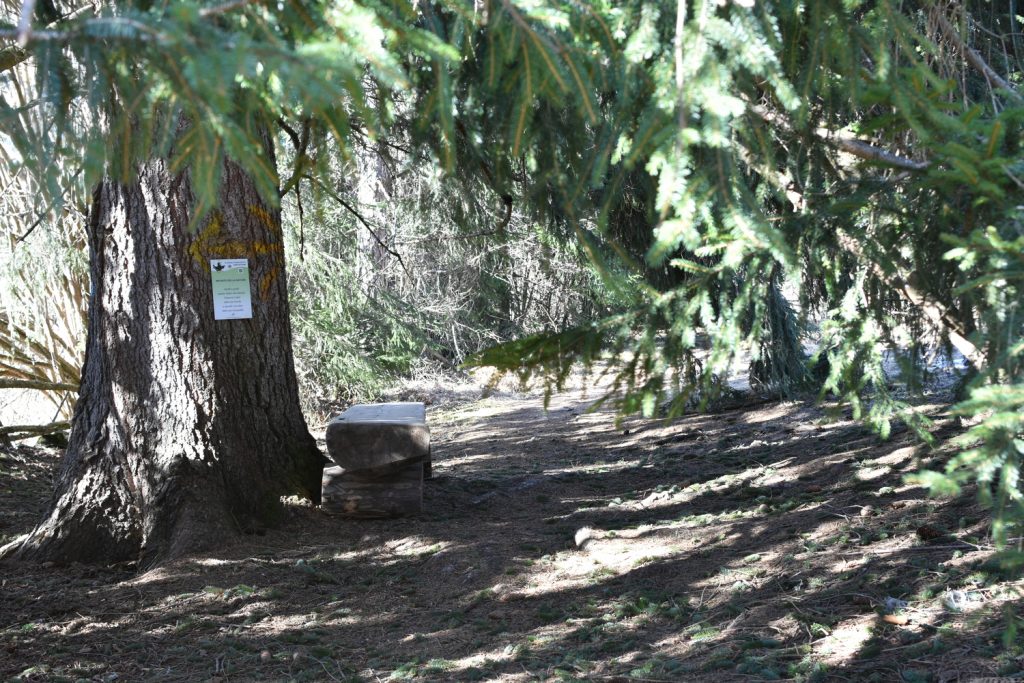 Il Bosco Nascosto di Daiano - panchina.
