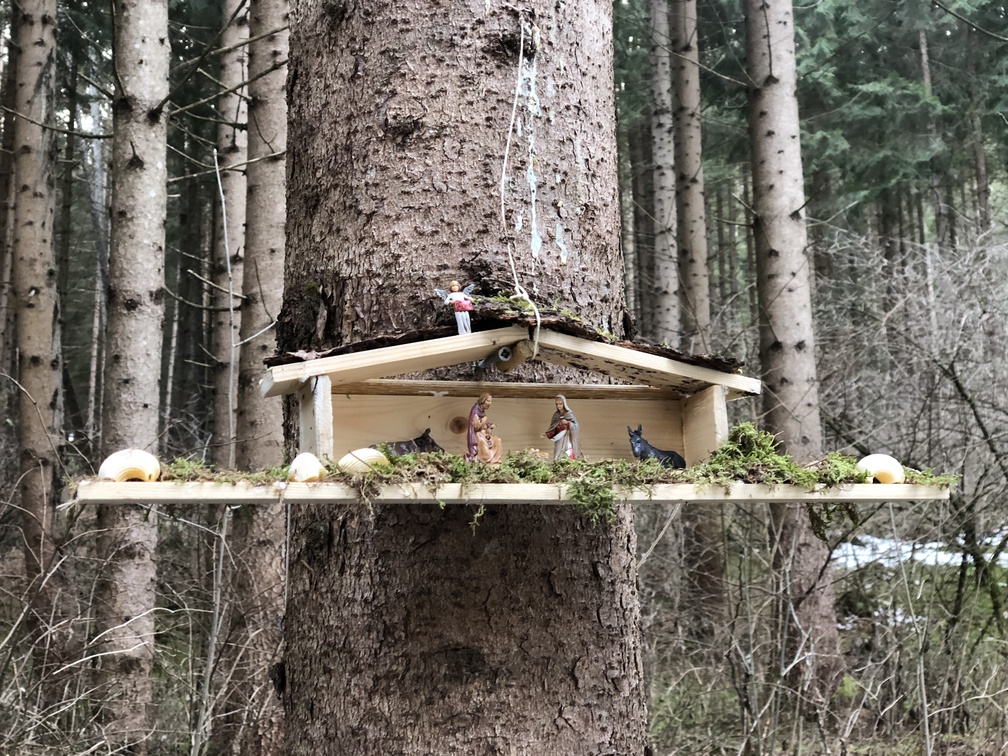 I presepi nel bosco di Zanolin.