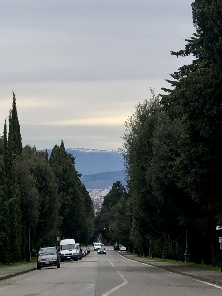 Villa del Poggio Imperiale - viale.
