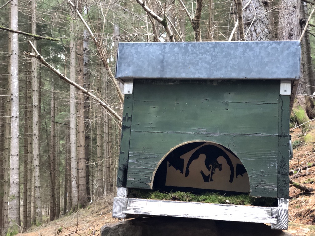 I presepi nel bosco di Zanolin.