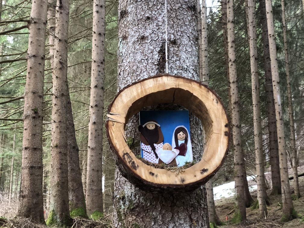 I presepi nel bosco di Zanolin.