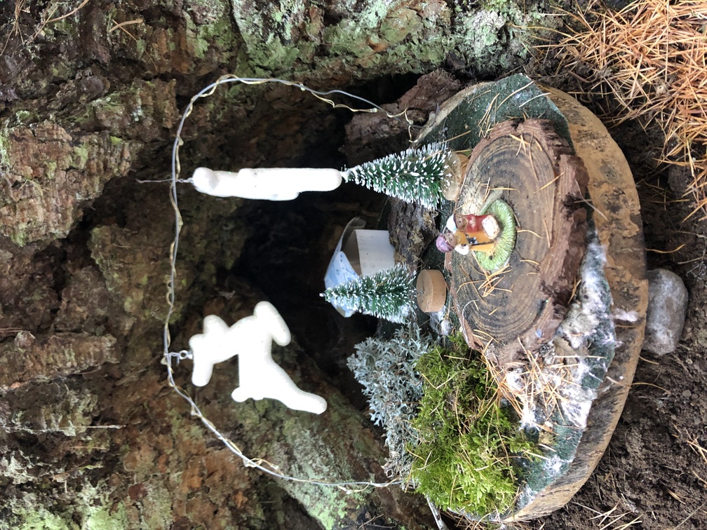 I presepi nel bosco di Zanolin.