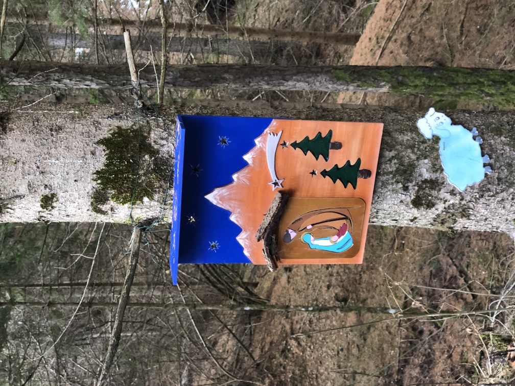 I presepi nel bosco di Zanolin.