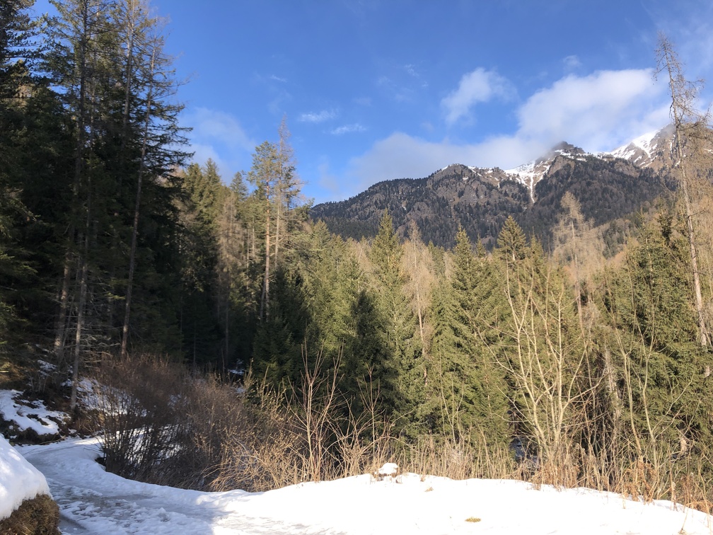 Val di Fiemme - sentiero verso Varena.