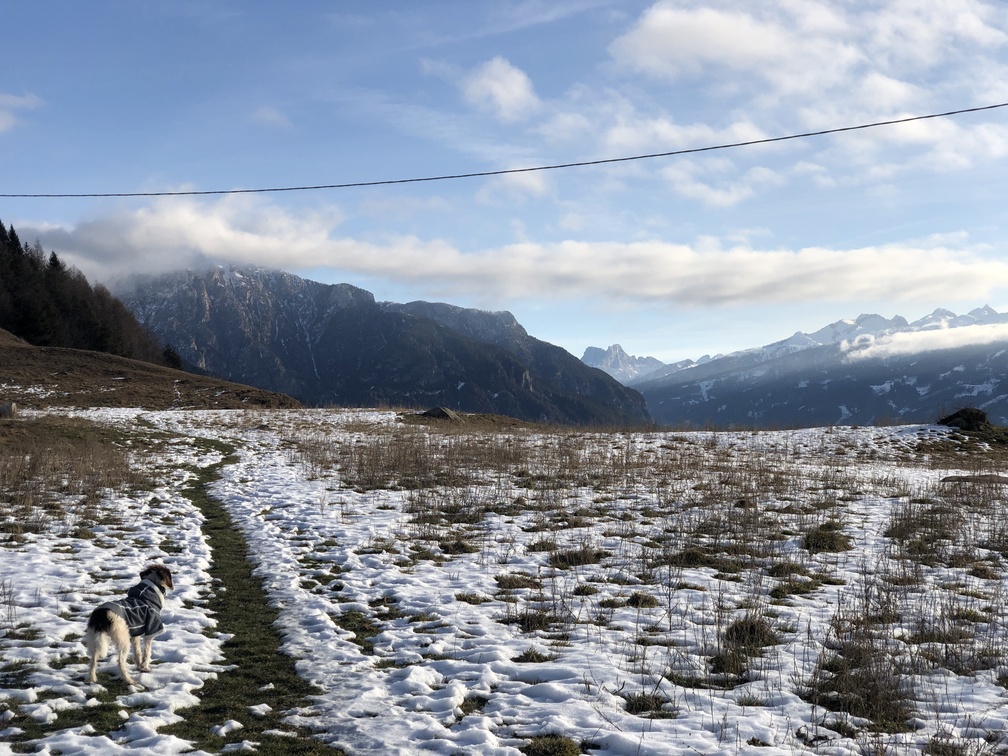 Val di Fiemme - panorama sul Monte Cornon.