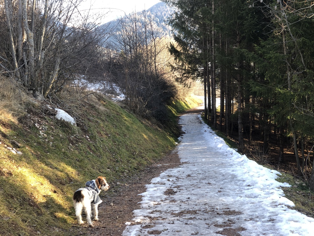 Val di Fiemme - sentiero verso Daiano.