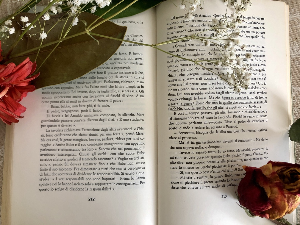 Carlo Cassola, La ragazza di Bube.