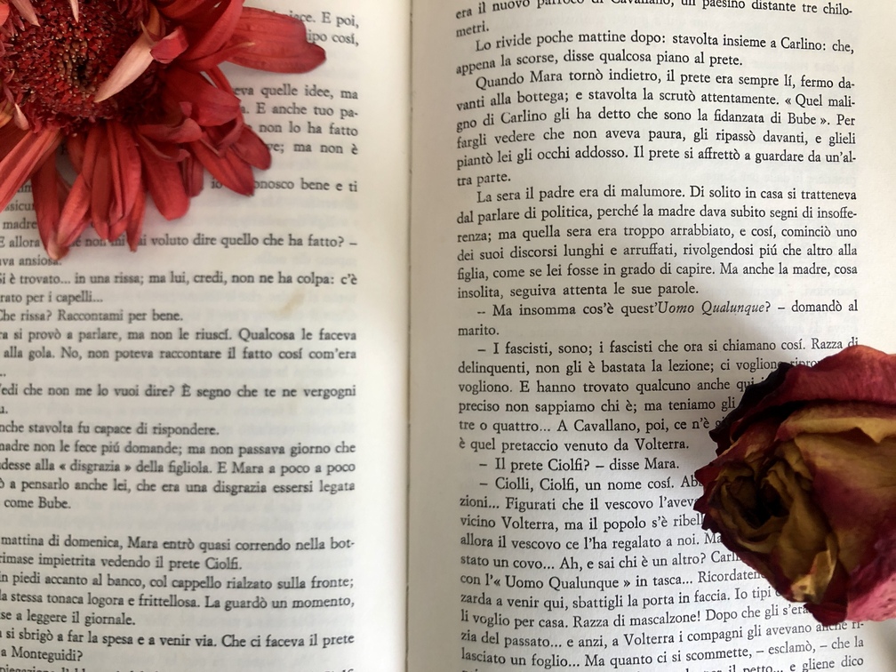 Carlo Cassola, La ragazza di Bube.
