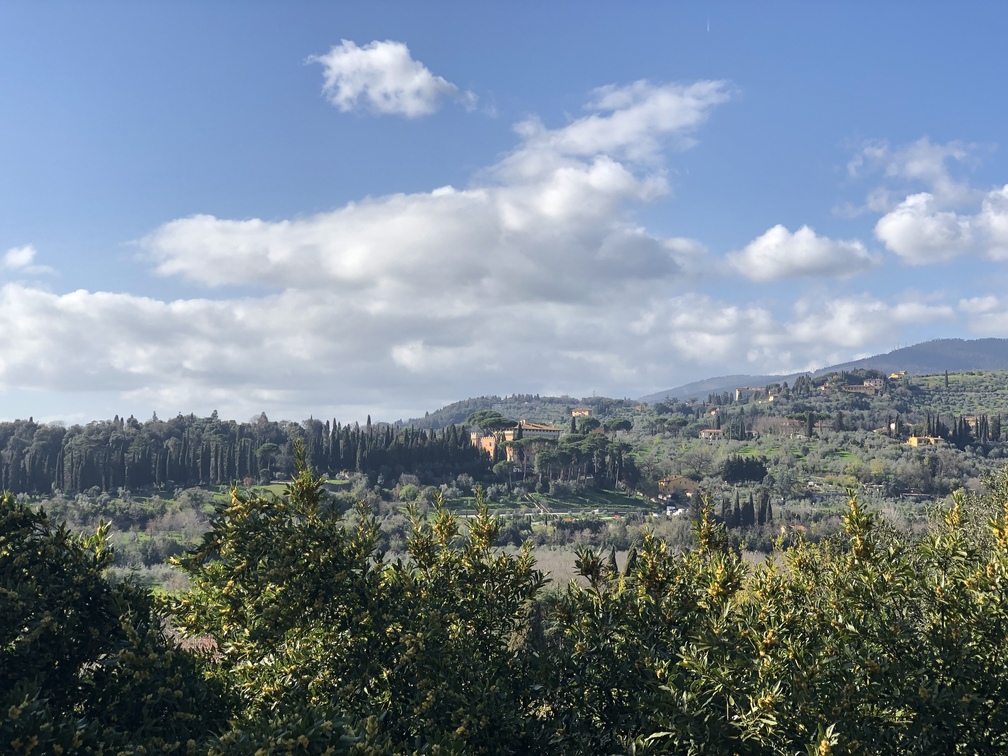 Villa Schifanoia - Belvedere, panorama su Villa Salviati.