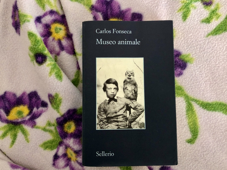 Carlos Fonseca, Museo animale.