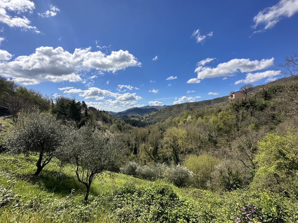 Strada verso Rocca di Vernio.