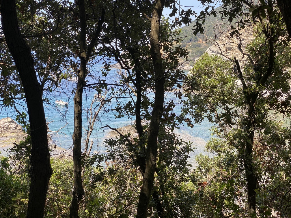Promontorio di Populonia - via dei Cavalleggeri.