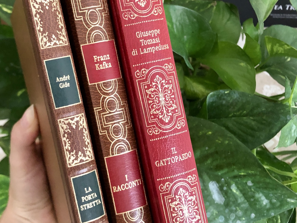 Franz Kafka, I racconti, e altri volumi.