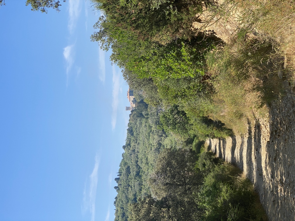 Promontorio di Populonia - via di San Quirico.