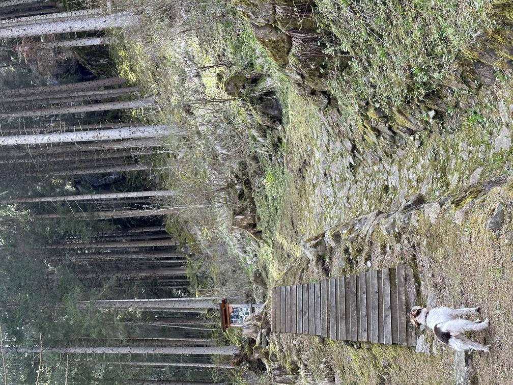 Predazzo - Trekking Cava de le Bore.