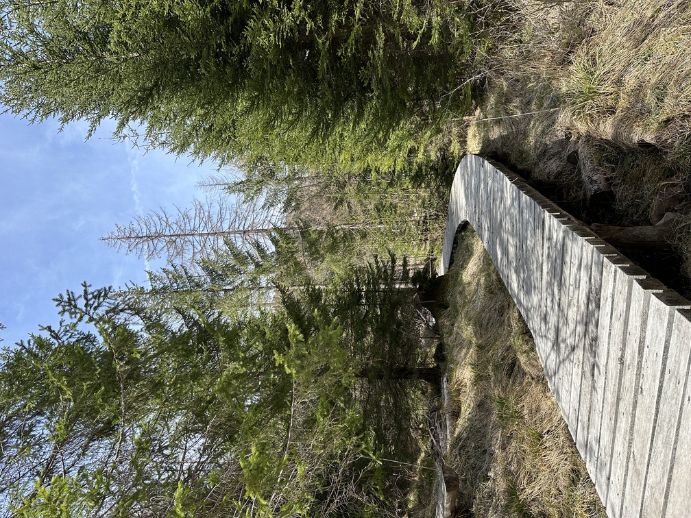 Predazzo - Trekking Cava de le Bore.