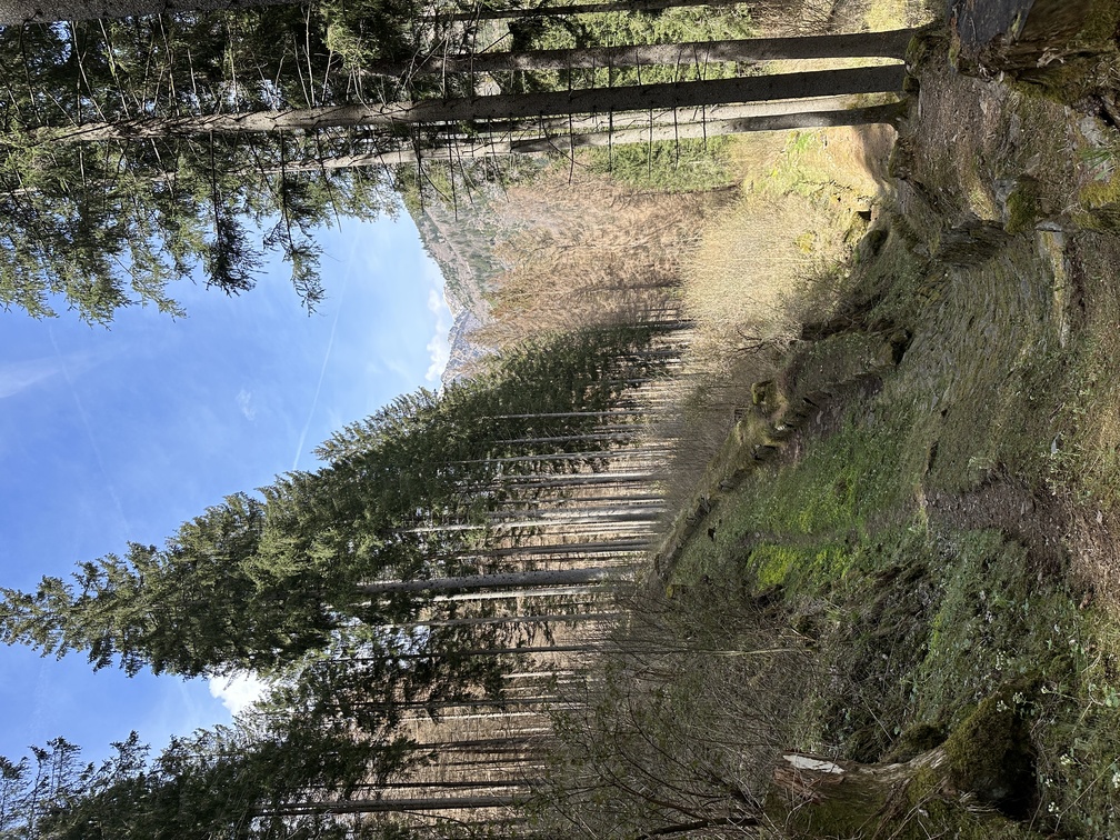 Predazzo - Trekking Cava de le Bore.
