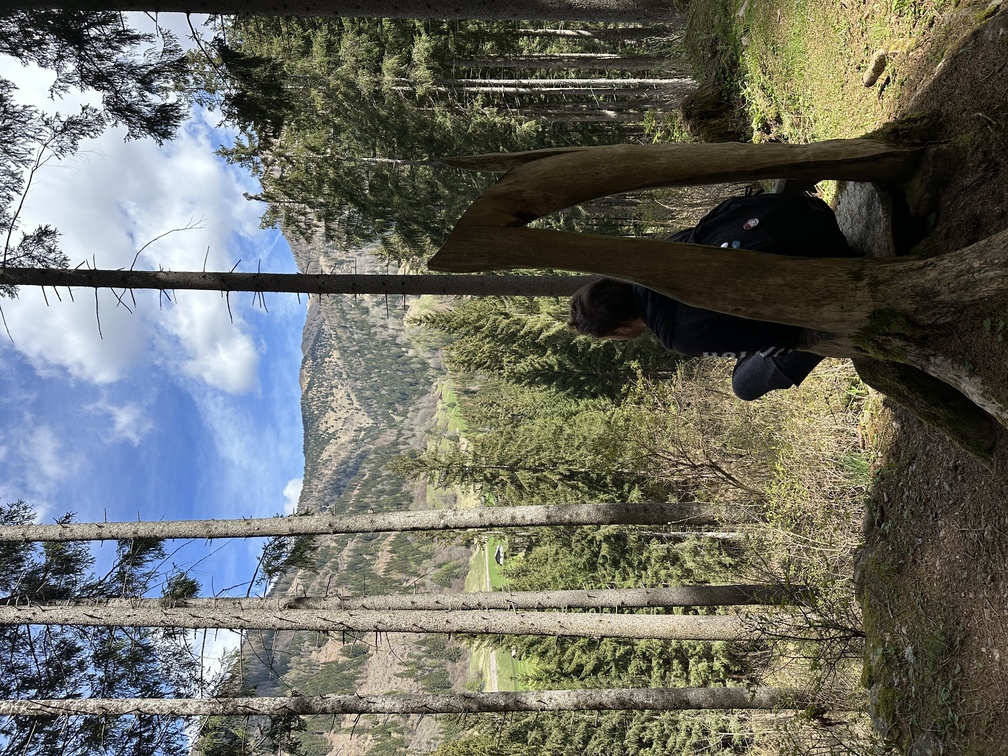 Predazzo - Trekking Cava de le Bore.