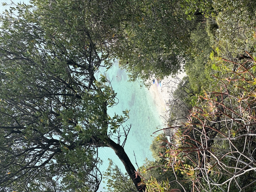 Cala Fuili.