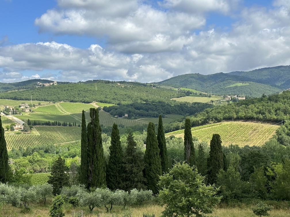 Castello di Meleto - panorama.