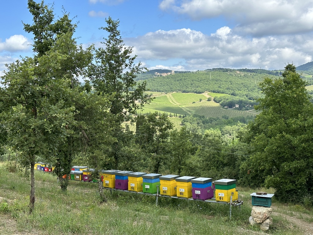 Castello di Meleto - Parco delle Api.
