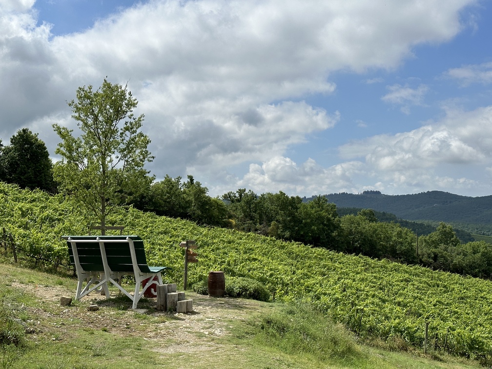 Panchina Gigante n. 136 di Gaiole in Chianti.