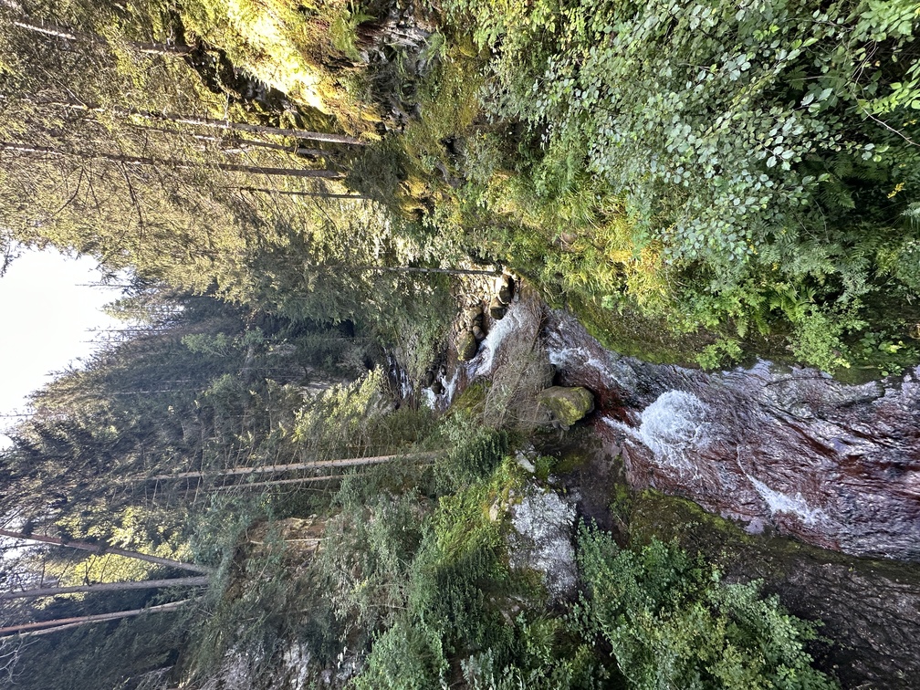 Ponte sulla Cascata di Cavalese - Rio Val Moena.