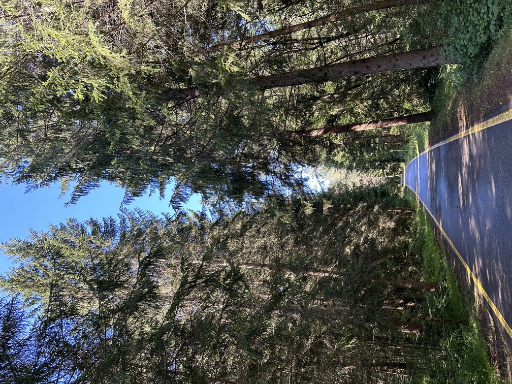 Pista ciclabile Valli di Fiemme e Fassa.