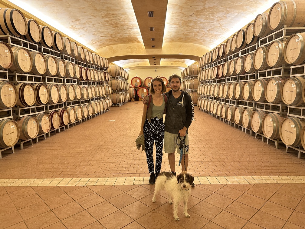 Società Agricola Tolaini Winery - Lorenzo, Federica e Frida nella barriccaia.