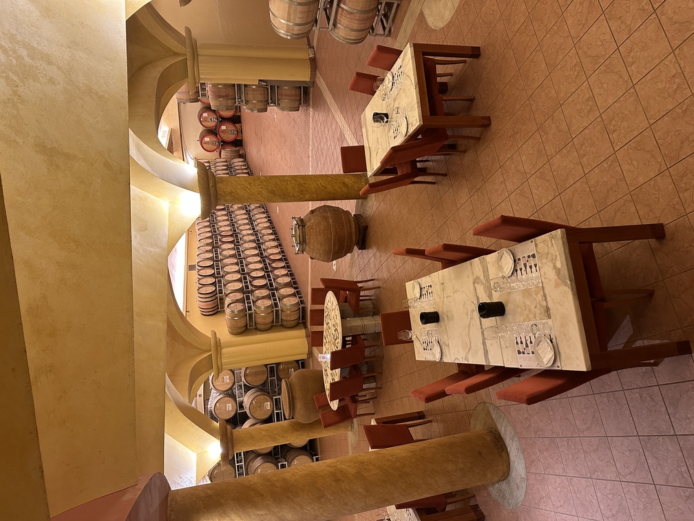 Società Agricola Tolaini Winery - sala per degustazioni e barriccaia.