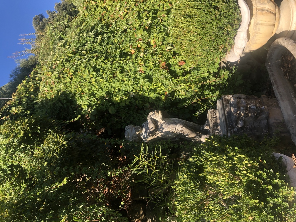 Villa San Michele a Fiesole - fontana.
