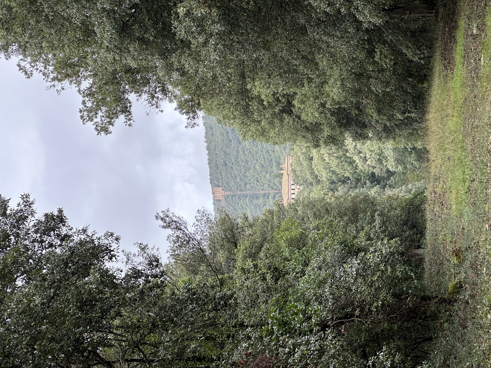 Villa Cetinale - veduta prospettica dal Parco della Tebaide.