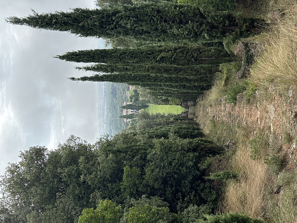 Villa Cetinale - Scala Santa, veduta dal romitorio.