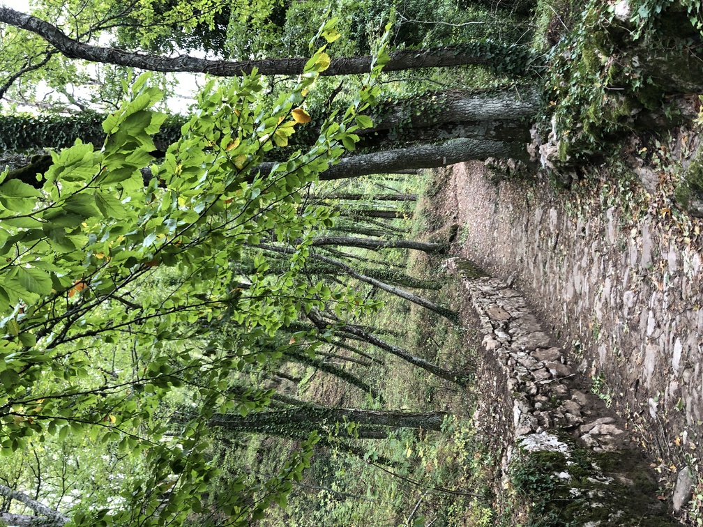 Santuario della Verna - Sentiero natura.