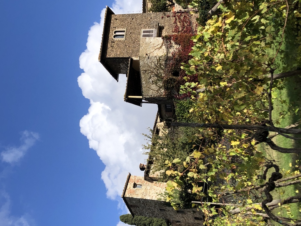 Montefioralle.